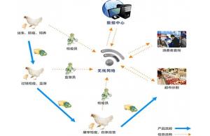 賽億科技 以網(wǎng)絡(luò)技術(shù)開發(fā)為基石，驅(qū)動物聯(lián)網(wǎng)解決方案創(chuàng)新
