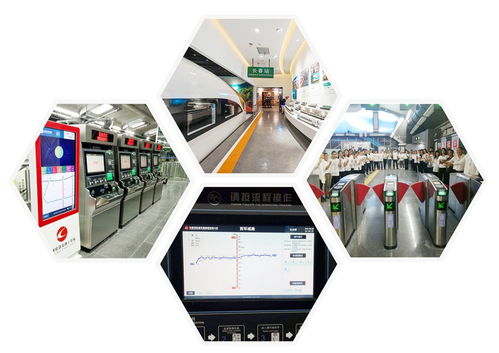 光華綻放 一位清華博士返鄉(xiāng)創(chuàng)業(yè)，以網(wǎng)絡(luò)技術(shù)賦能萬物互聯(lián)